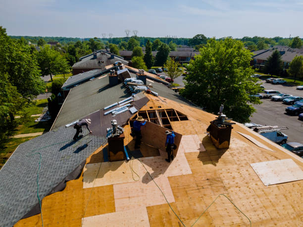 Best Storm Damage Roof Repair  in Fussels Corner, FL