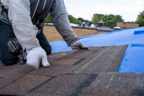 Best Residential Roofing Contractor  in Fussels Corner, FL