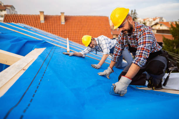 Best Local Roofing Companies  in Fussels Corner, FL